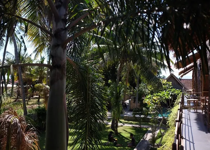Tentacle Bali