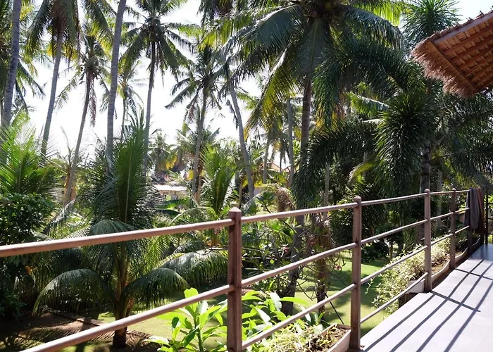 Tentacle Bali