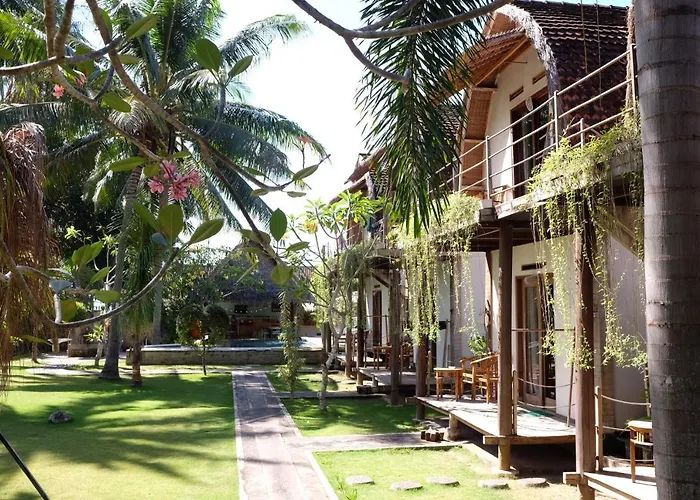 Tentacle Bali